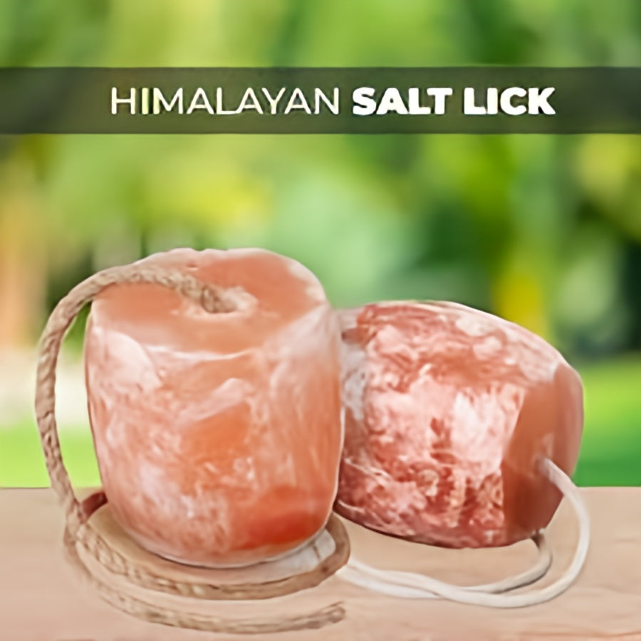 LICK SALT